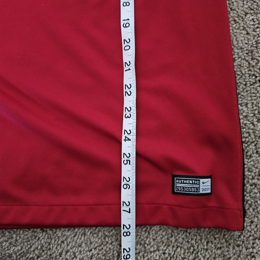 MEN JERSEY - NIKE 2017 US National - Picture 5 of 5